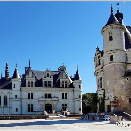 La Scellerie Apartment Tours Bagian luar foto